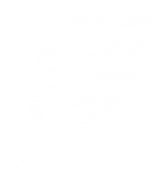 leaf-logo