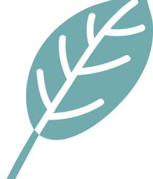 leaf-logo--teal